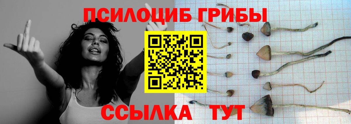 Галлюциногенные грибы мухоморы Кондопога